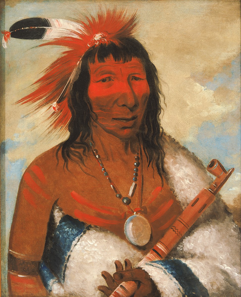 Wá Nah De Túnk Ah Big Eagle Or Black Dog Chief of The O Hah Kas Ka Toh Y An Te B