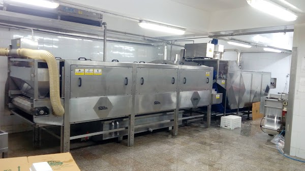 Halawani Brothers — Pasteurization
