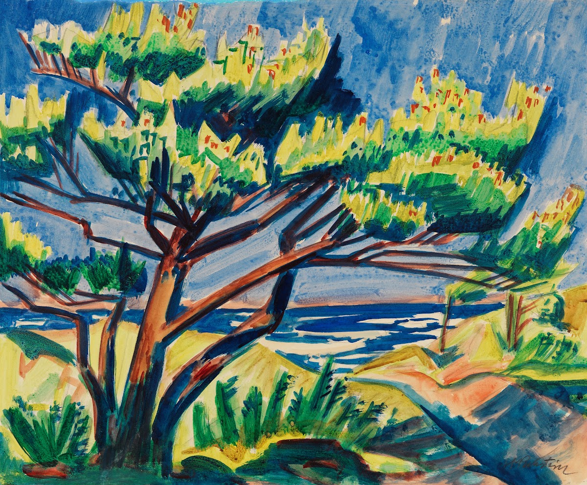 Pine tree in the dunes 1911