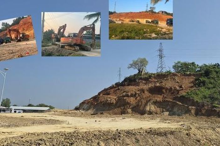 Cam kết chỉ trồng cây nhưng cạo sạch cả quả đồi ở Khánh Hòa - Báo Người Lao Động