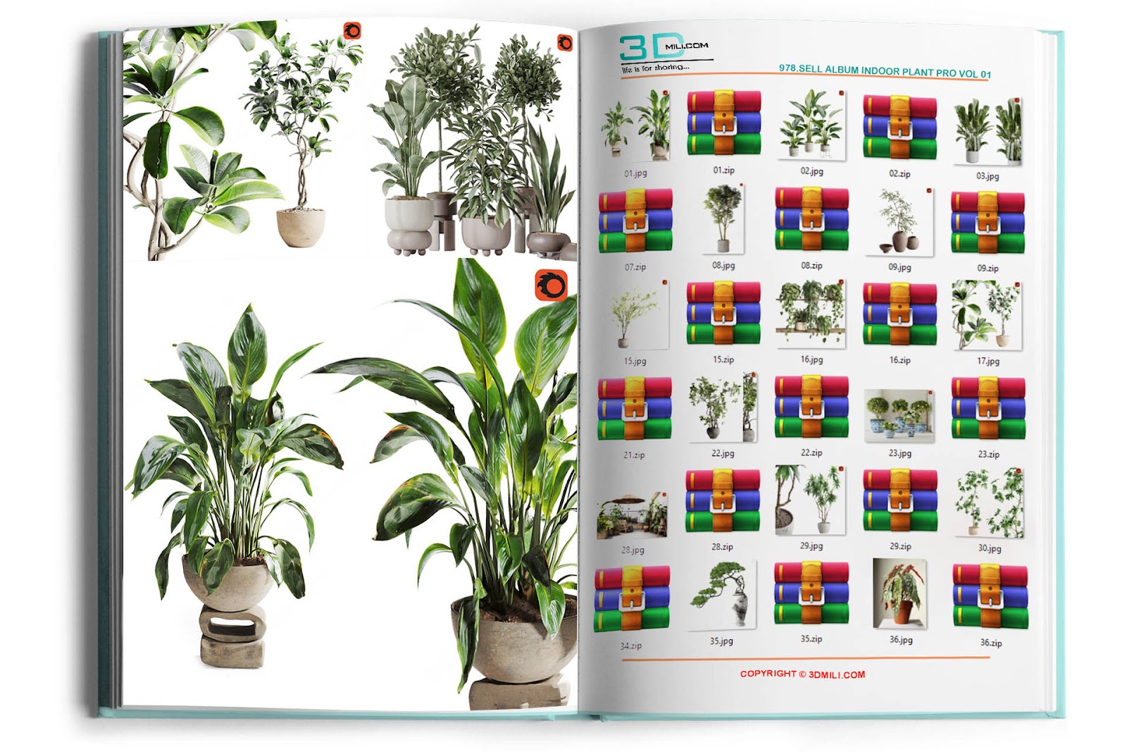 978.Sell Album Indoor Plant PRO Vol 01