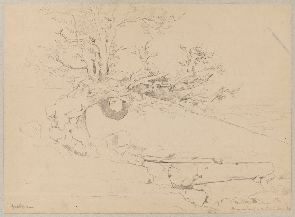 Landscape with a Tree by a Stream near Ruppenberg in Westphalia 1860