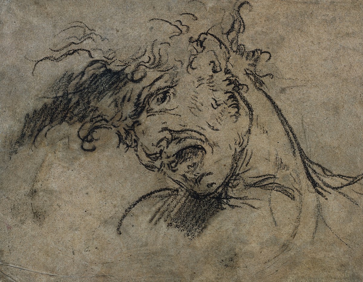 Head of a Screaming Man recto 1792