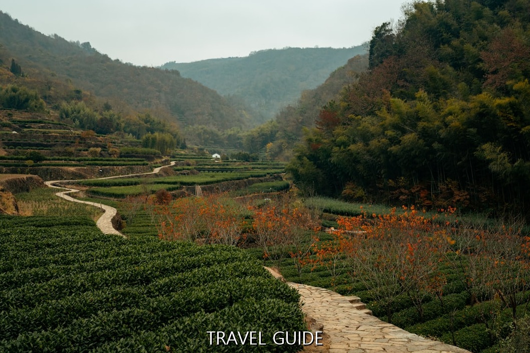 서천 쭈꾸미 축제 찍고! 후회 없는 서천 당일치기 여행 코스 (가성비 명소)