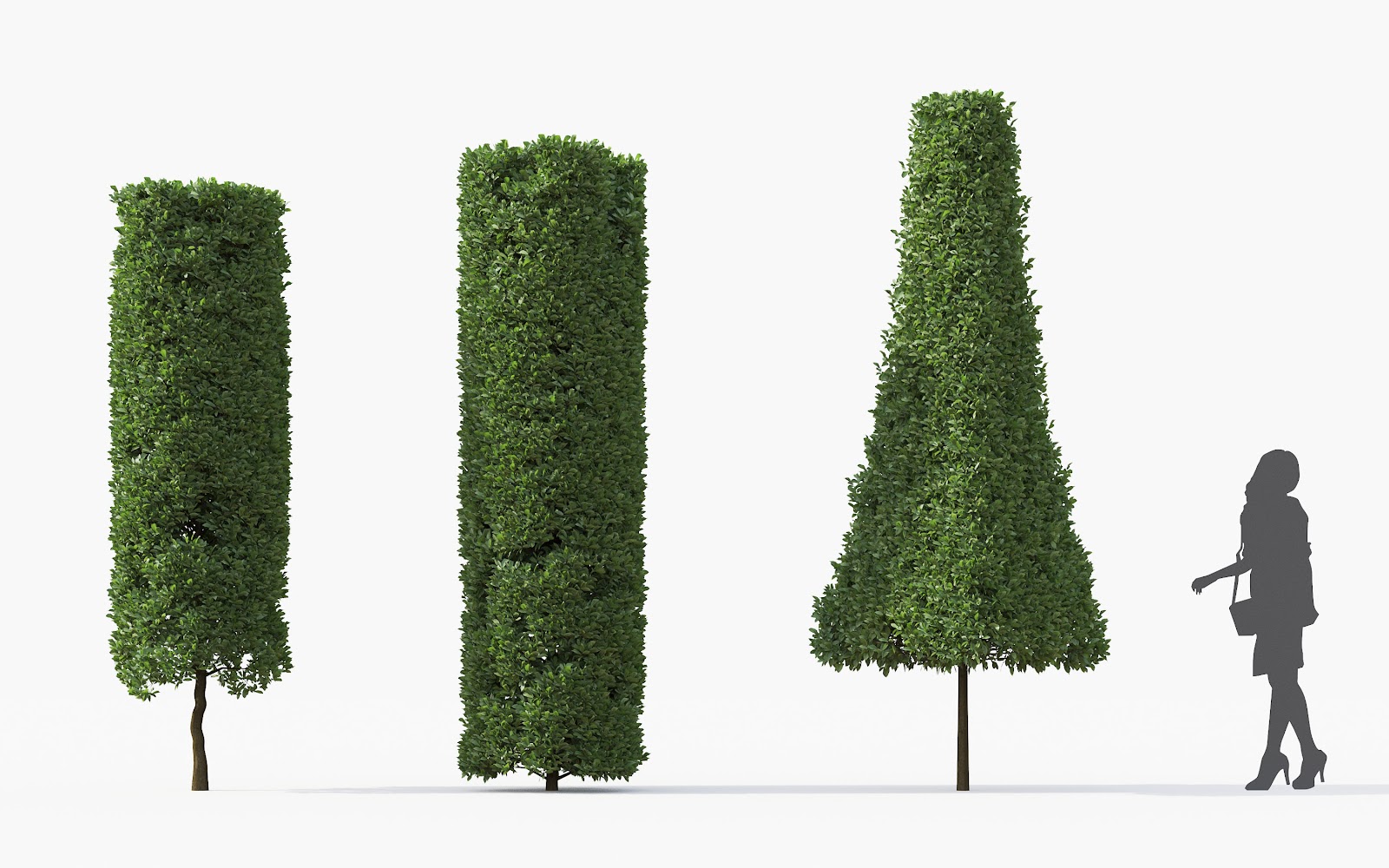 Maxtree - Plant Models Vol.28