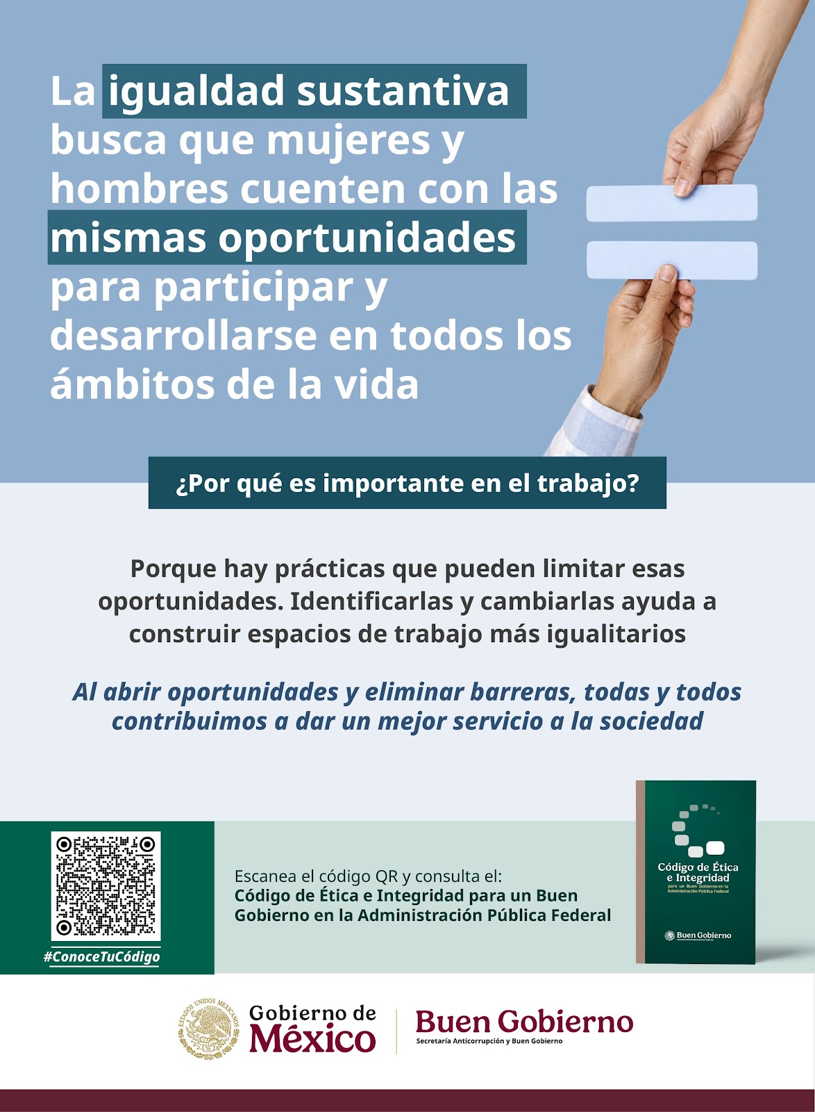Imagen 6