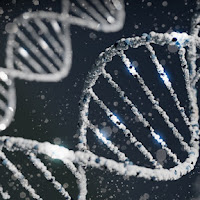 The End of One-Size-Fits-All: How Genetic Testing Is Reshaping Nutritional Guidelines