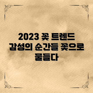 플라워트렌드, 꽃 장식, 감성 스타일, 플로리스트 팁, 꽃 종류