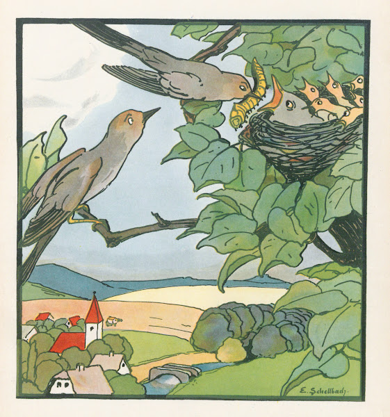 Komische Käuze Pl12 1909
