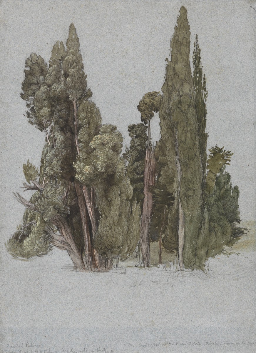 The Cypresses at the Villa dEste Tivoli