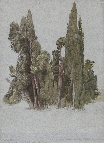 The Cypresses at the Villa dEste Tivoli