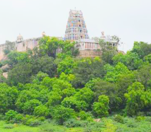 Viralimalai Murugan Temple
