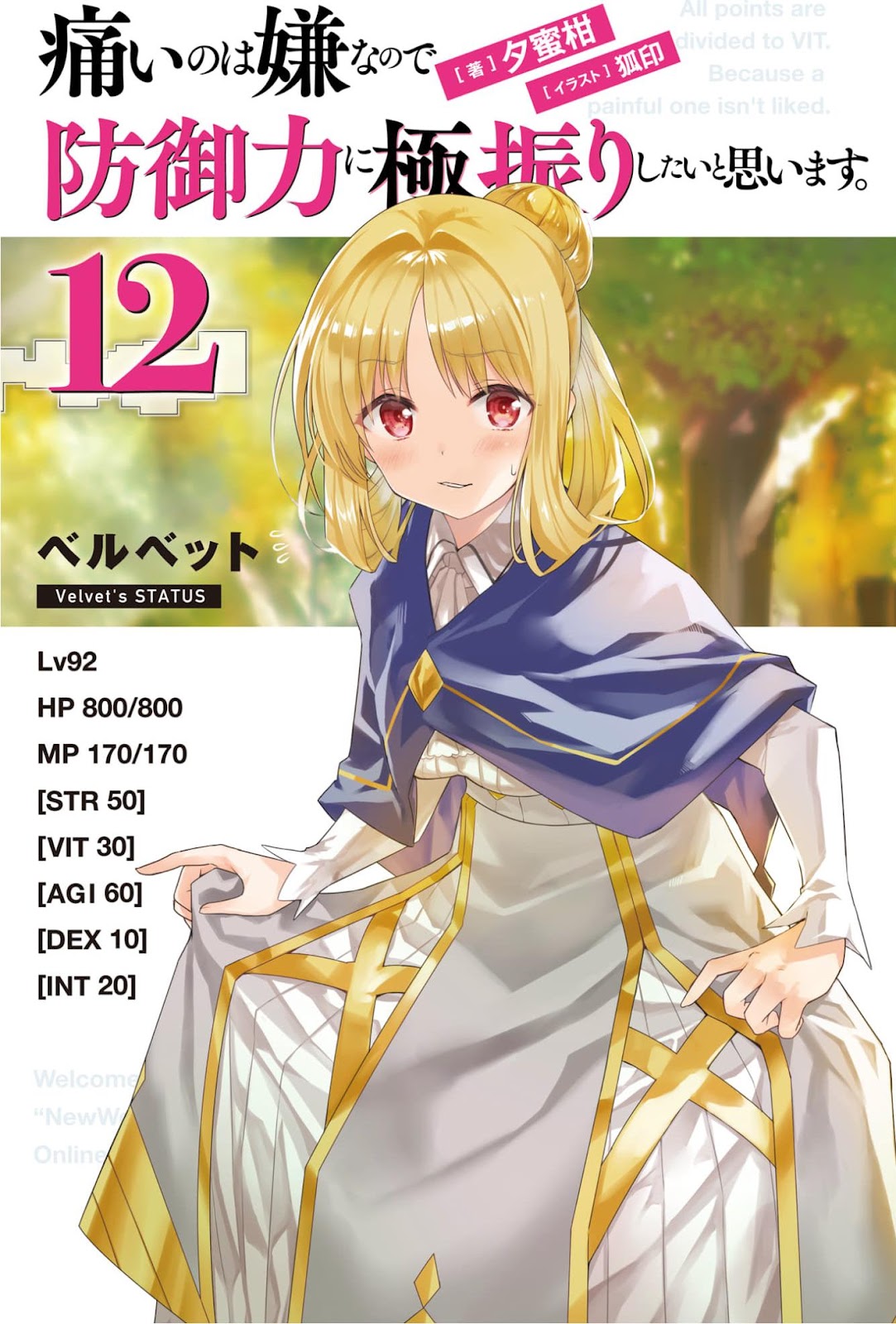Bofuri 12_003