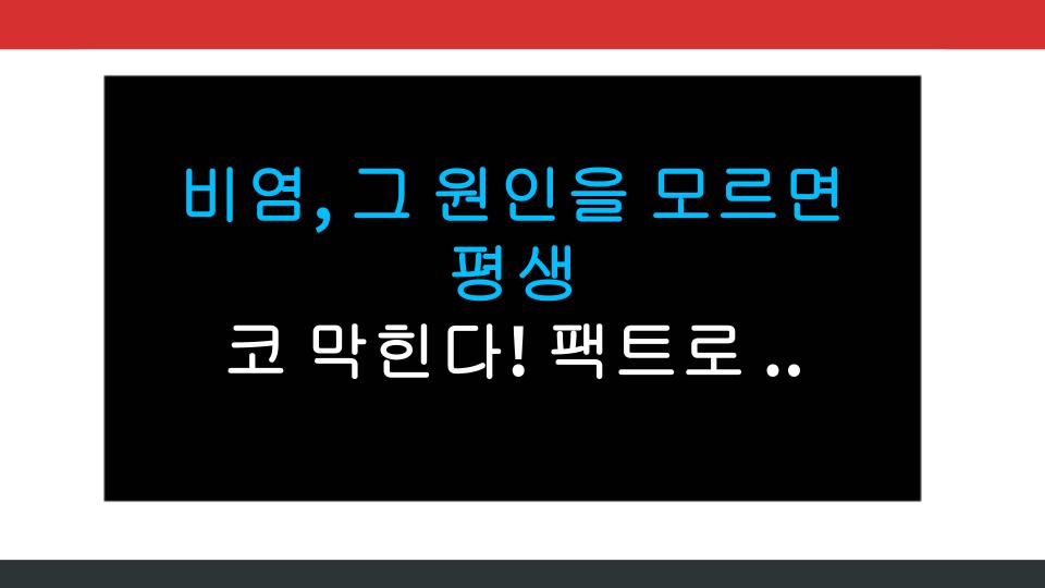비염, 그 원인을 모르면 평생 코 막힌다! 팩트로 알아보자