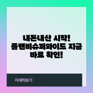 플랜비슈퍼와이드 사용 후기, 내돈내산 후기, 플랜비슈퍼와이드 활용법, 왜 플랜비슈퍼와이드를 선택해야 할까, 플랜비슈퍼와이드 장점