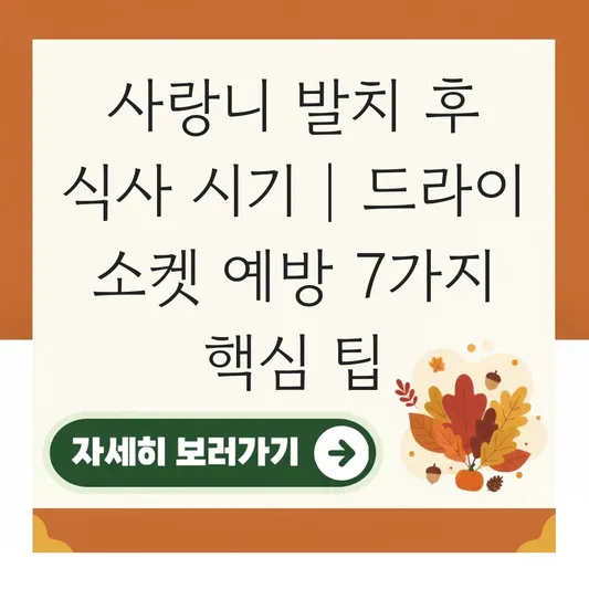 사랑니 발치 후 식사 가능 시기 및 드라이 소켓 예방을 위한 주의사항 대표 이미지