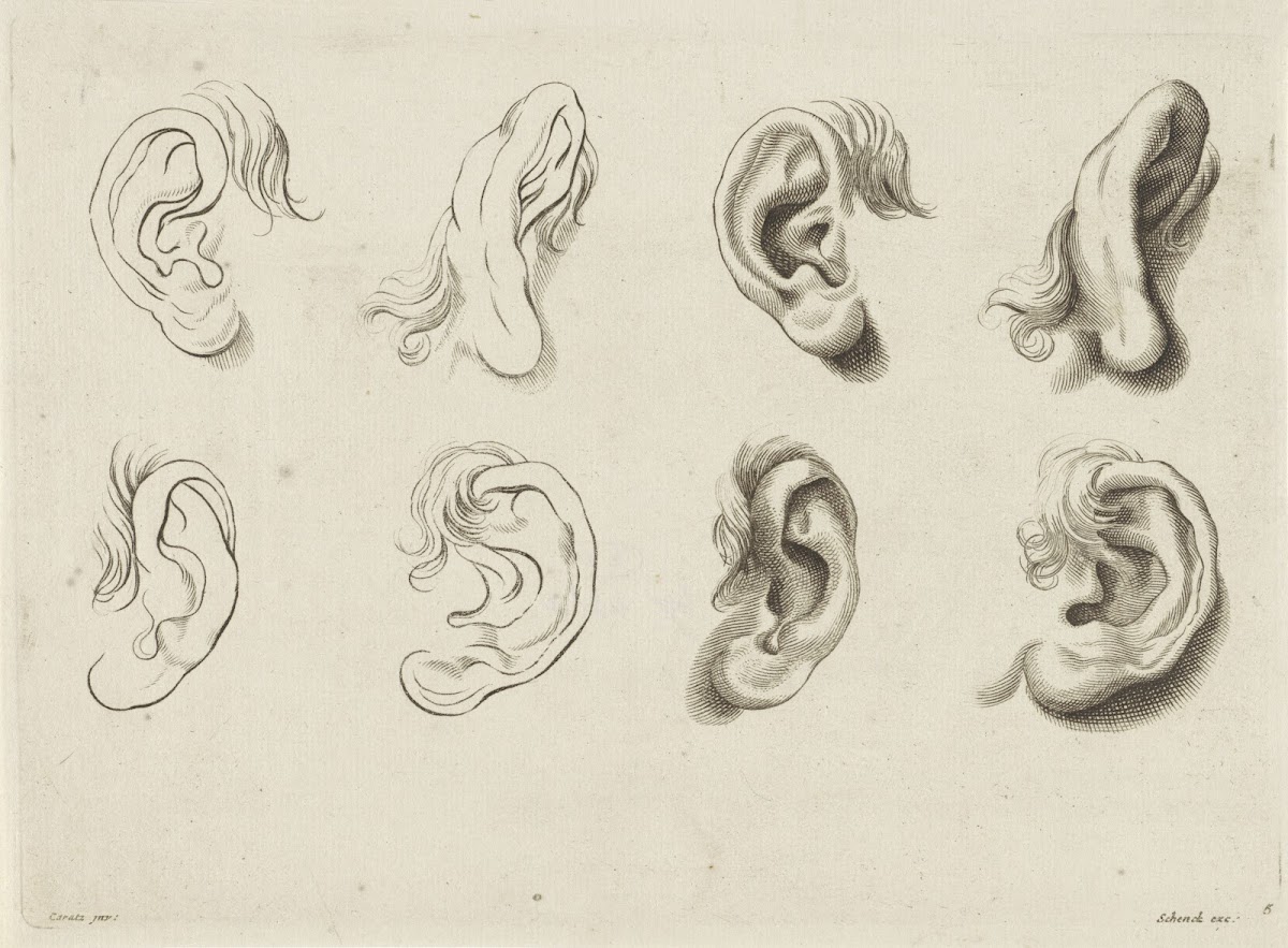 Study of various ears 1675   1711