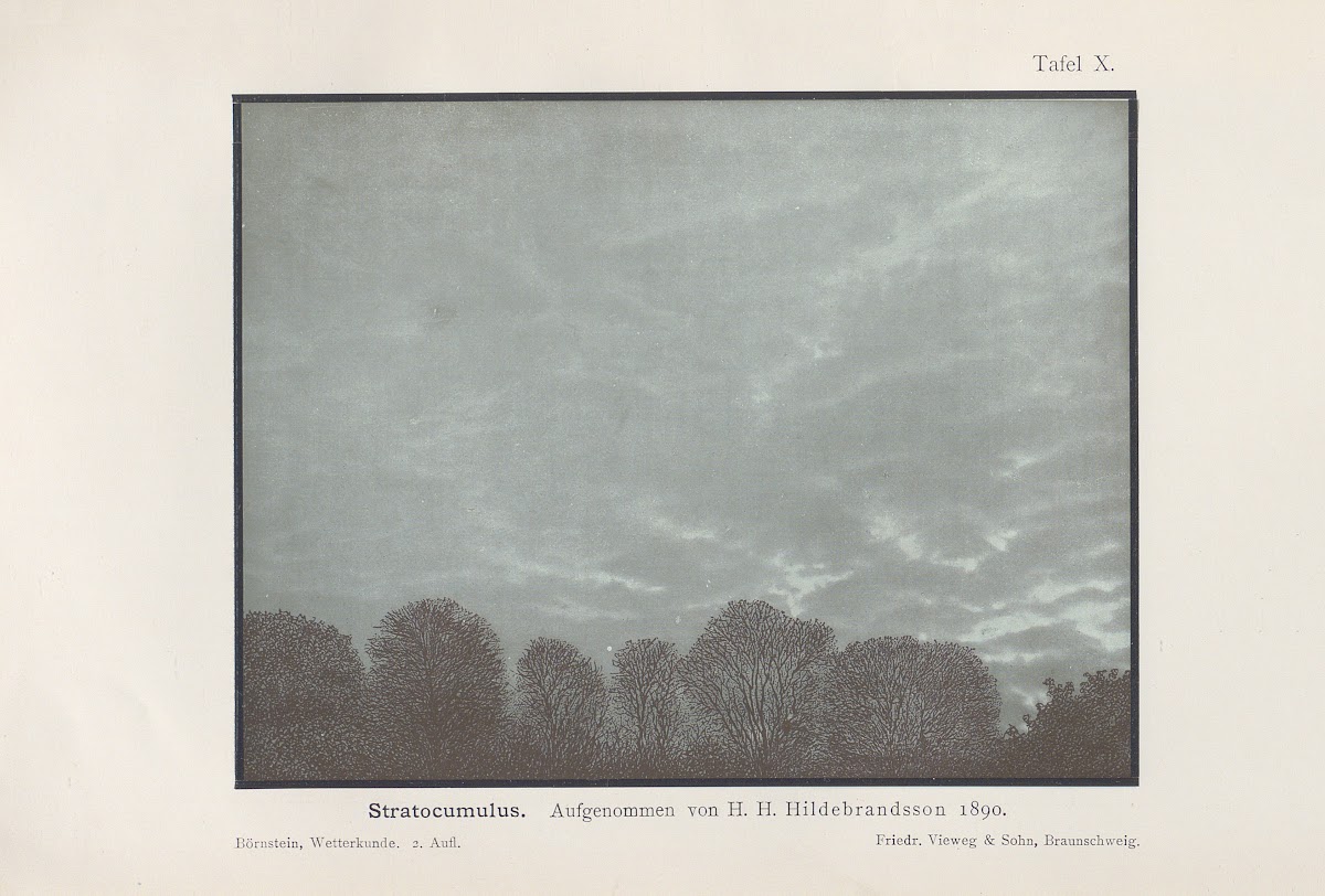 Stratocumulus 1906