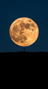 Surreal Floating Islands in Clouds