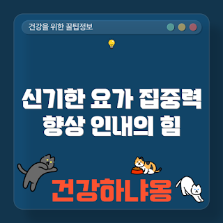 요가 수련, 어떻게 집중력을 키우나, 인내심 기르기 방법, 요가의 효과, 왜 요가를 해야 하나