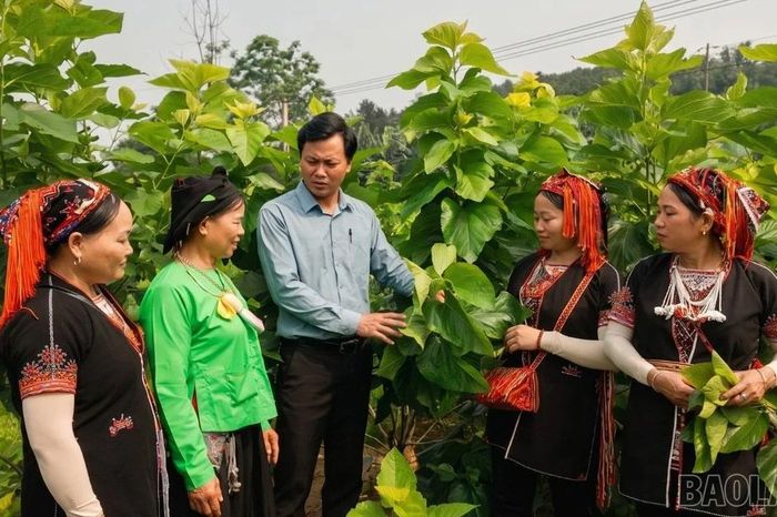 Giữ chữ tín với nông dân giữa biến động thị trường - Báo Lào Cai