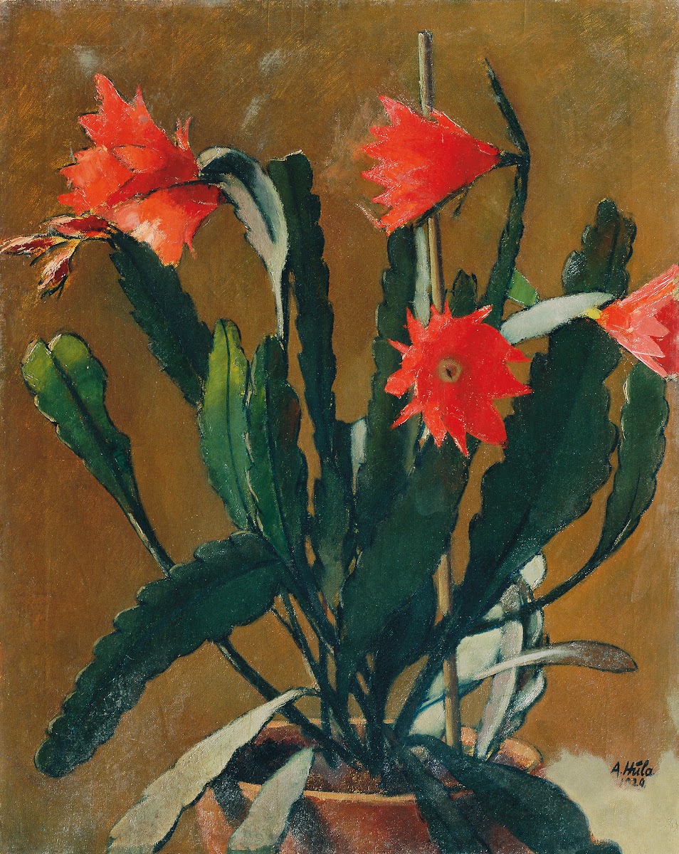 Stillleben Mit Blühendem Kaktus 1929