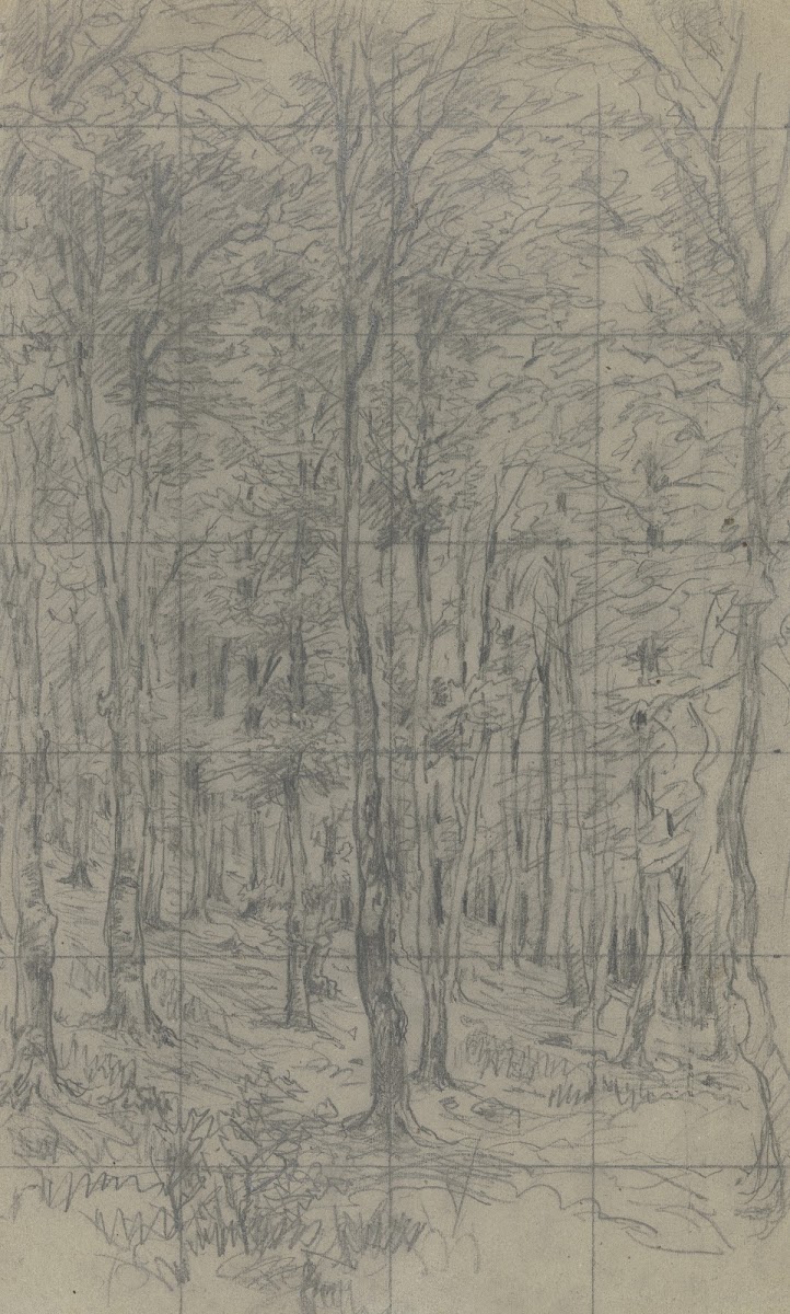 Saplings on a slope