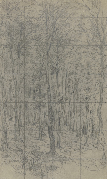 Saplings on a slope