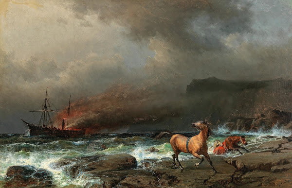 The Wreck of the Anglo Saxon 1863
