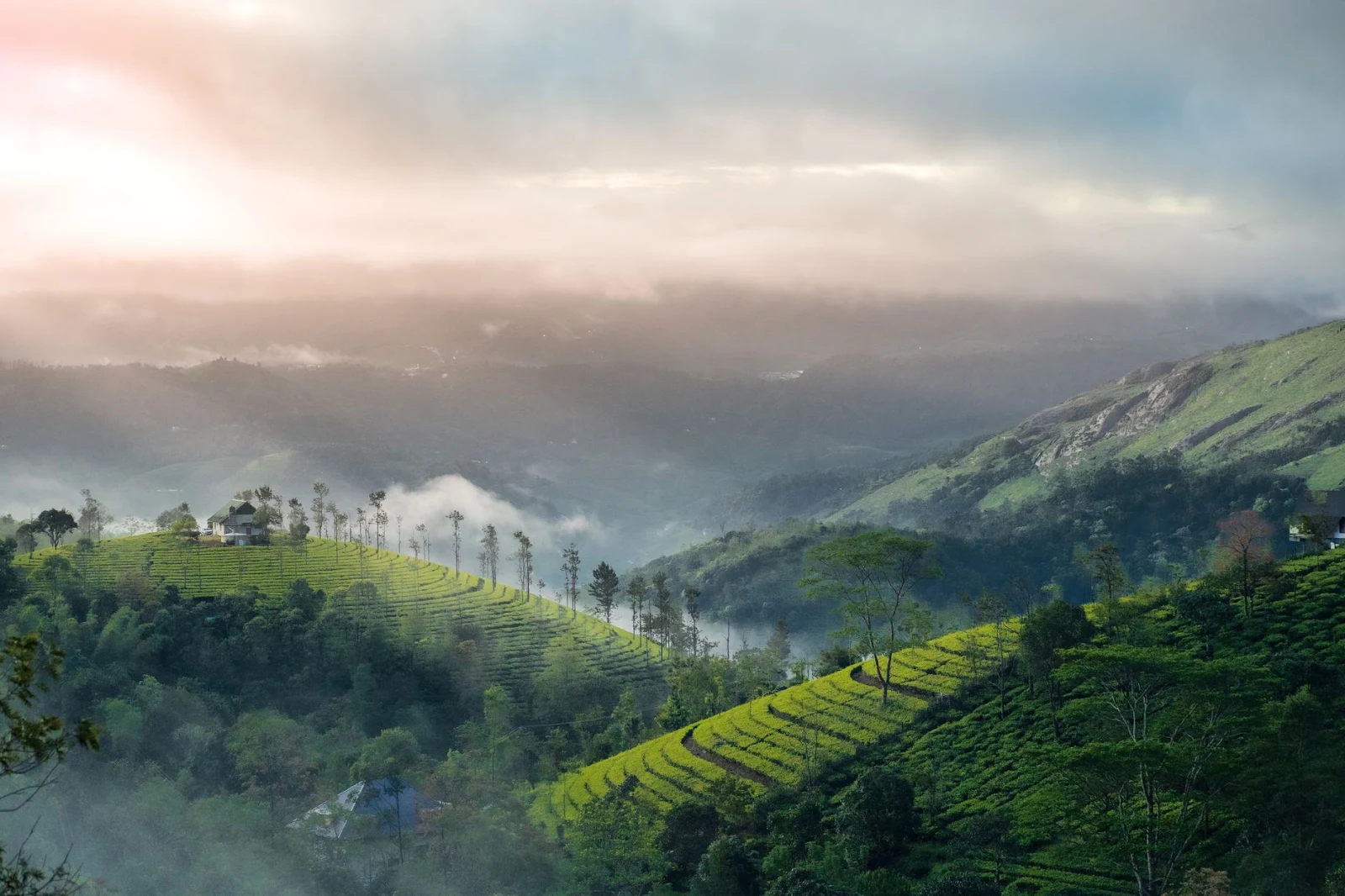 Munnar Tea Gardens and Viewpoints