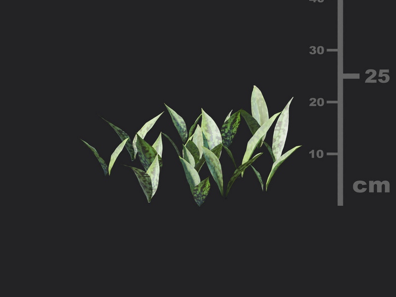 Maxtree - Plant Models Vol.116