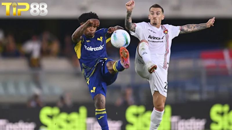 Lịch sử đối đầu giữa Cremonese vs Verona