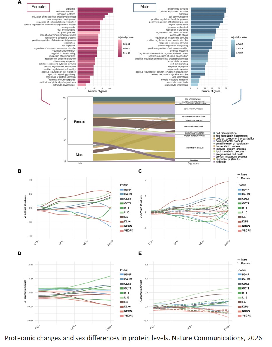Alzheimer’s protein patterns vary across populations