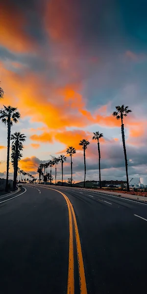 Cloud, Daytime, Plant, Tree, Road Surface Full HD iPhone Wallpaper Background