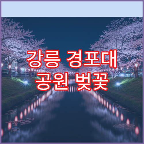 강릉 경포대 공원 벚꽃 3월 무료 공연 시간대 안내