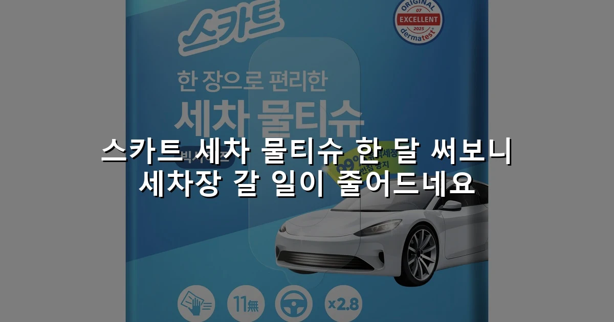 스카트 세차 물티슈 한 달 써보니 세차장 갈 일이 줄어드네요