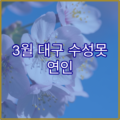 3월 대구 수성못 연인 손잡고 걷기 좋은 완전 평지 산책 구간 정리