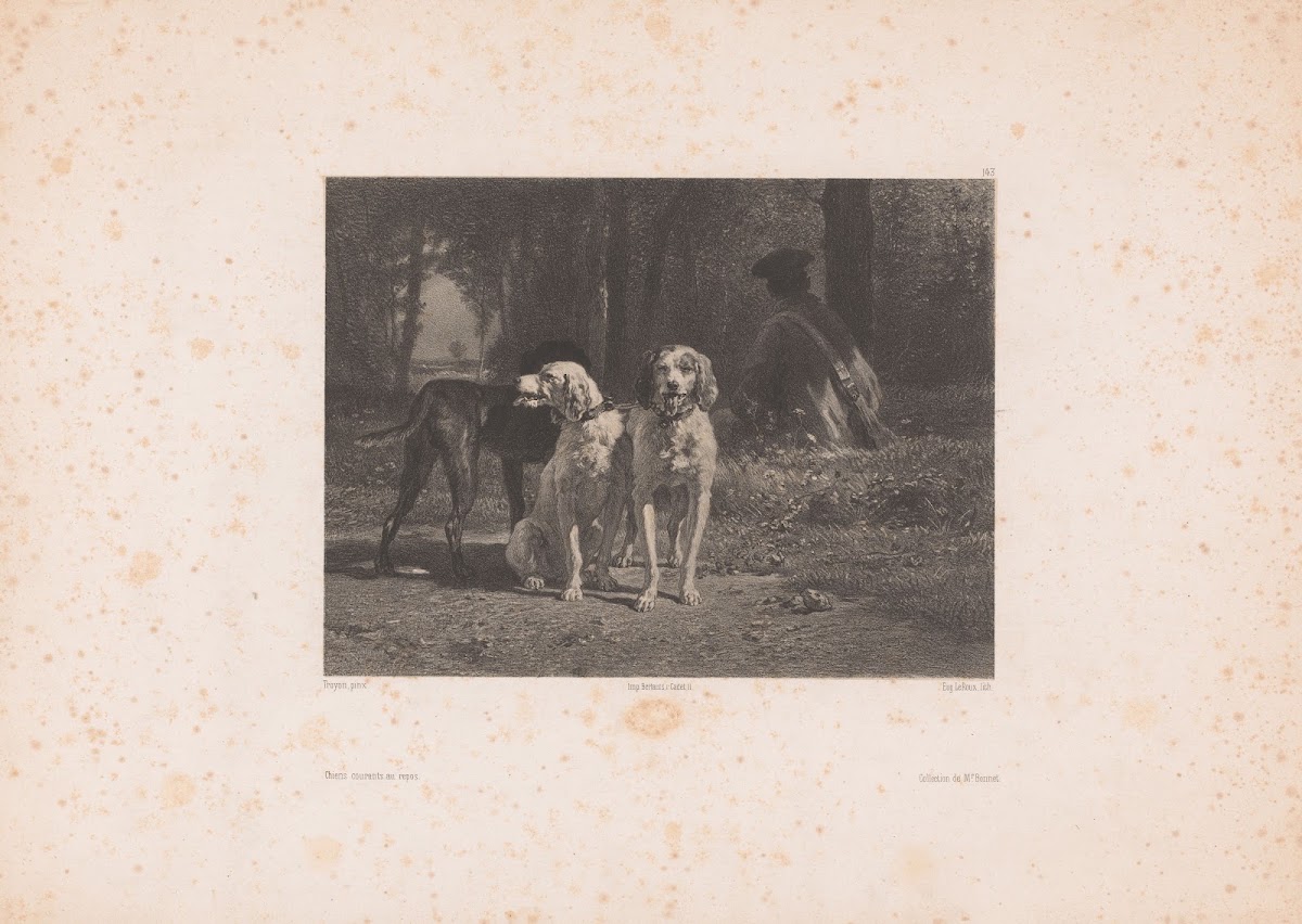 Chiens courants au repos 1855 1856