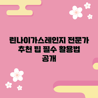 린나이가스레인지, 가스레인지 활용법, 2023 주방 트렌드, 전문가 추천 가전, 안전한 요리 방법