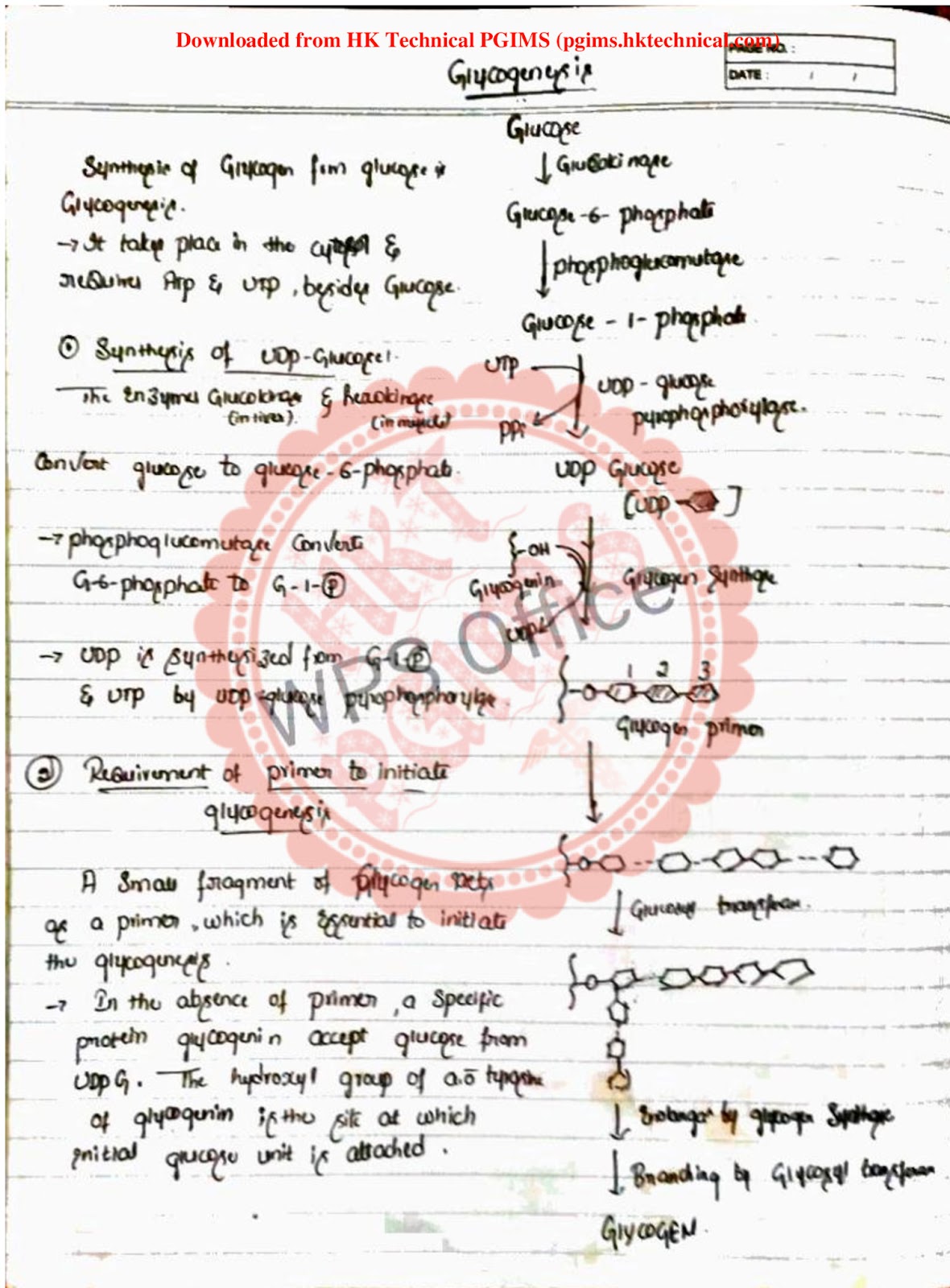 Glycogenesis  2nd Semester B.Pharmacy Lecture Notes,BP203T Biochemistry,