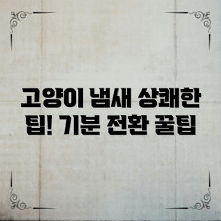 고양이 방향제 사용법, 냄새 제거 팁, 고양이 기분 전환, 겨울철 향기, 2023 홈 인테리어