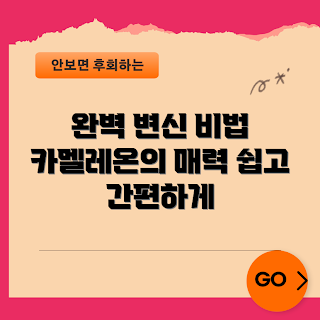 카멜레온바스켓, 변신 가이드, 카멜레온 용도, 실내 장식, 소비자 리뷰