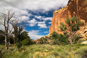 Colorado Democrats Face the Heat: Crow and Hickenlooper Offset Palantir Cash with Immigrant Aid Donations