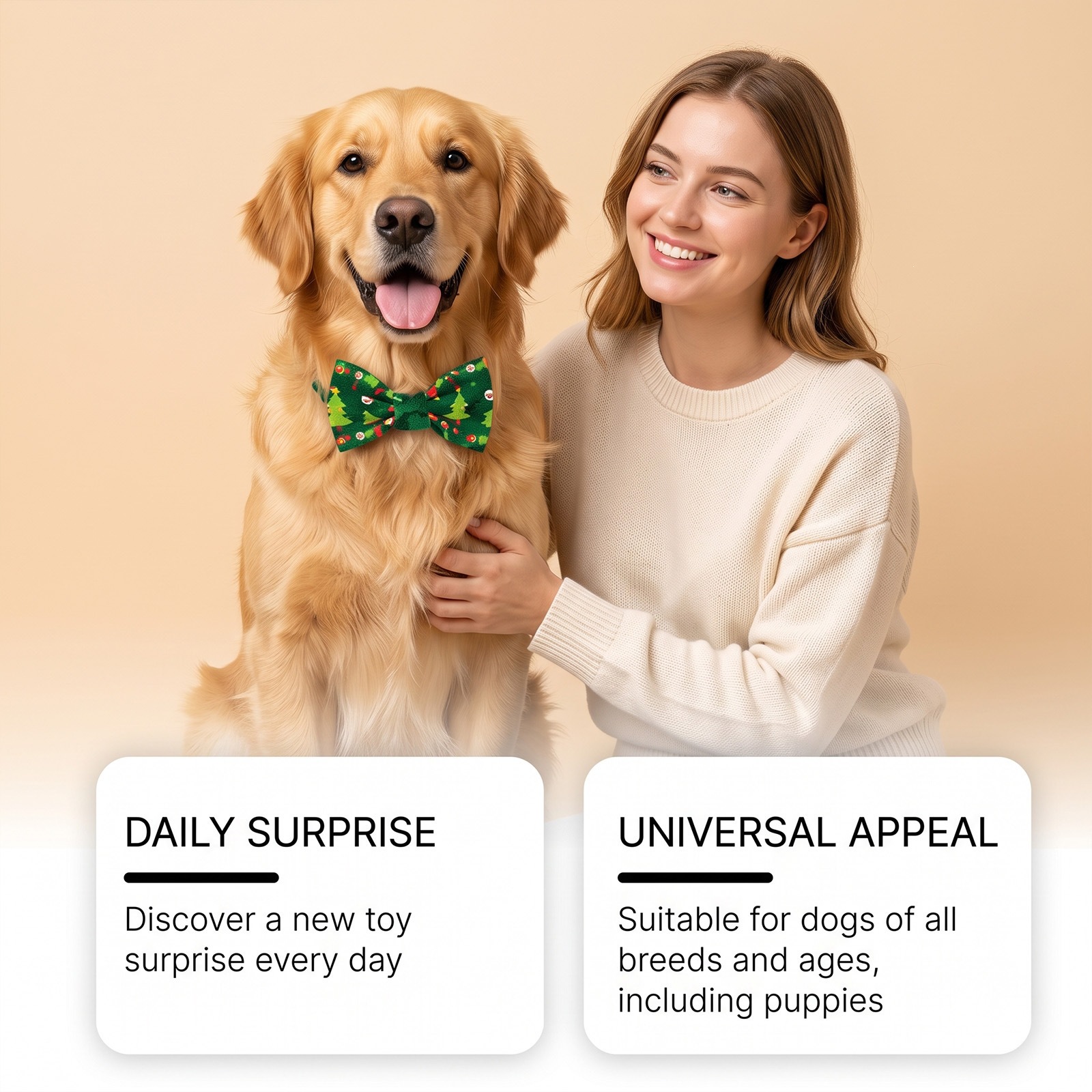 Adventskalender für Hunde