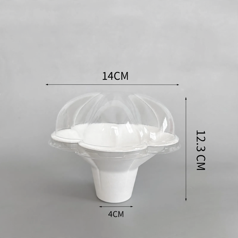 Disposable paper container, biodegradable