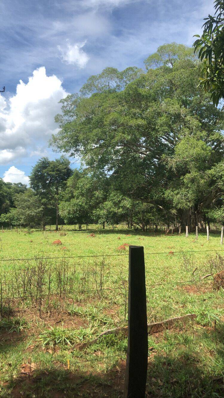 Fazenda em Minaçu-GO 6