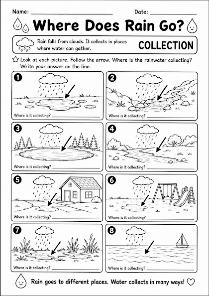 Where Does Rain Go?
