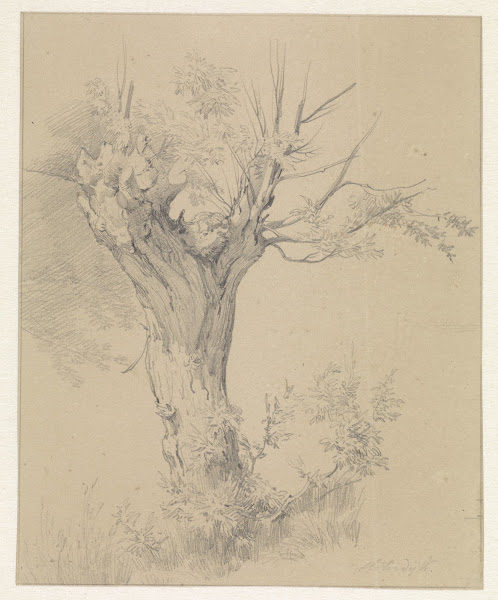Knotwilg te Sloterdijk 1825 1873