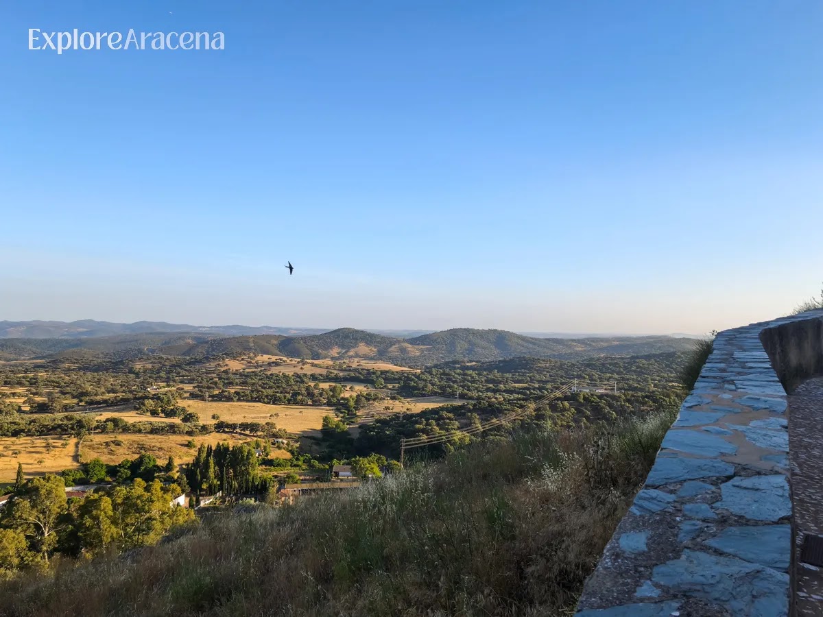 Panoramic view of the wooded hills surrounding Aracena seen from the castle, with rolling green landscapes stretching into the distance.