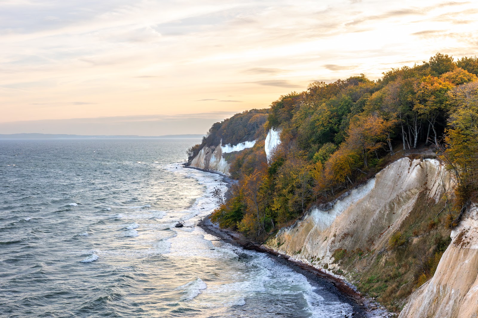 autumn-chalk-cliffs-sea-soft-sunset-baltic-coast-golden-forest